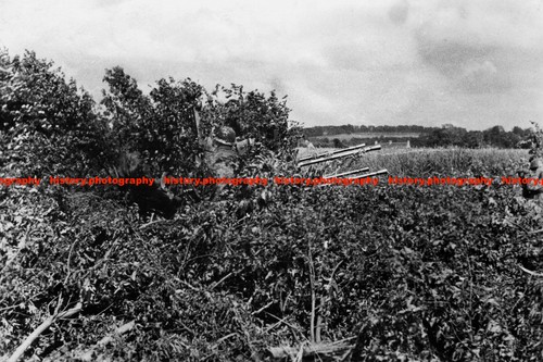 F029820 quadruple anti - f029820,
